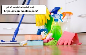 شركة تنظيف في الشخامة ابوظبي